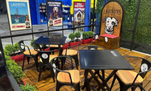 Leia mais sobre o artigo Lagunitas e AmPm: Novo Deck Pet Friendly