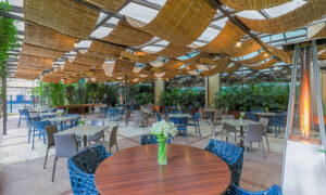 Leia mais sobre o artigo Oktober YVÁ: Chopp, Gastronomia e Classical Queen