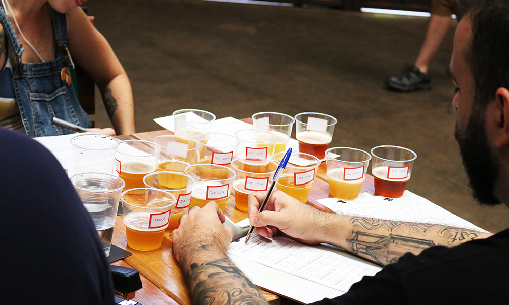 Concurso "Melhor IPA do Brasil" está com inscrições abertas - Você Falou Cerveja - Blog Cervejeiro