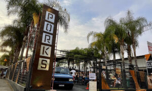 Leia mais sobre o artigo Carna Porks 0800: Rock & Reggae na Porks Castelo e Casarão