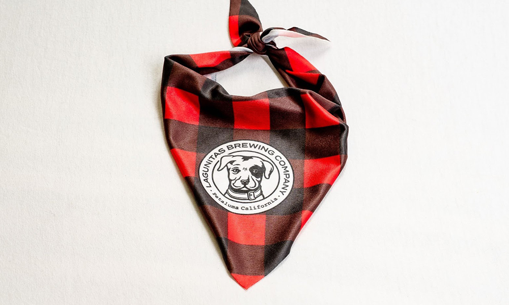 Lagunitas lança loja no TikTok Shop com linha pet - Você Falou Cerveja - Blog Cervejeiro