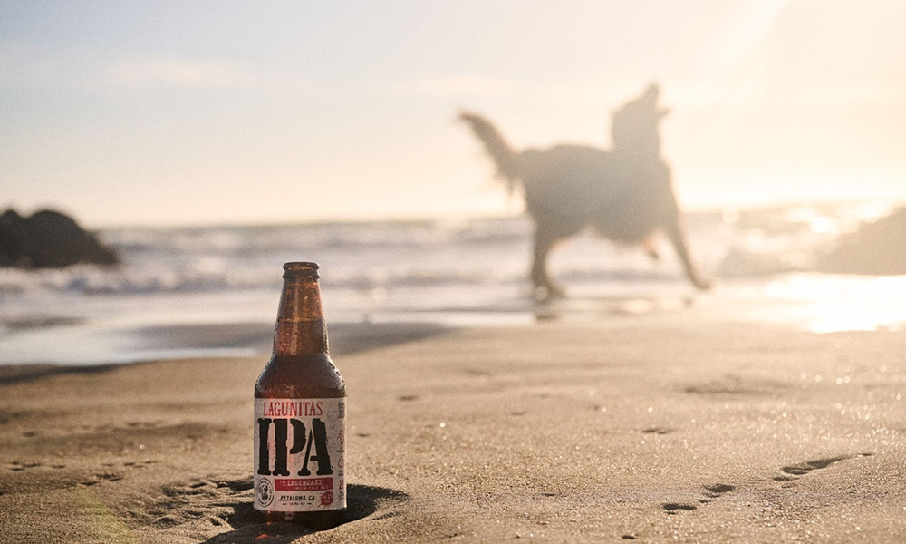 Leia mais sobre o artigo Lagunitas lança loja no TikTok Shop com linha pet