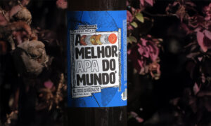 Leia mais sobre o artigo Salva Craft Beer: 32 medalhas e o melhor mestre cervejeiro do Brasil