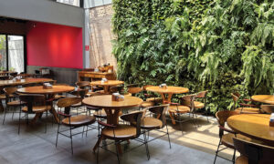 Leia mais sobre o artigo Carola Restobar: Festival de caldos e vinhos neste feriado.