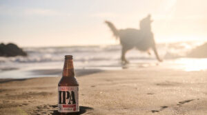 Leia mais sobre o artigo Lagunitas promove feira de adoção responsável em São Paulo