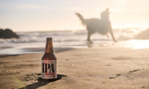 Leia mais sobre o artigo Lagunitas amplia disponibilidade de produtos exclusivos e chega ao Mercado Livre