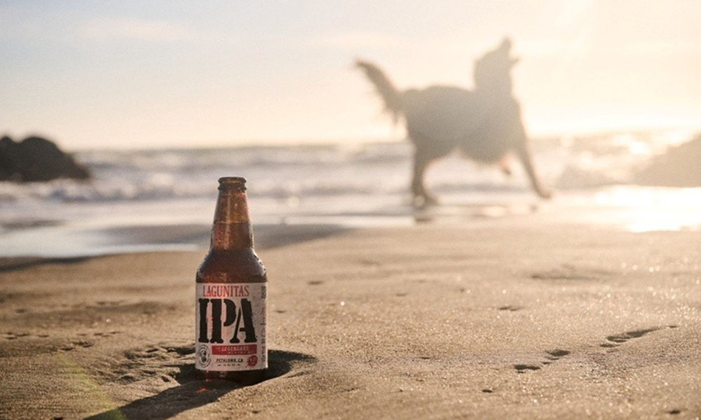Lagunitas amplia disponibilidade de produtos exclusivos e chega ao Mercado Livre