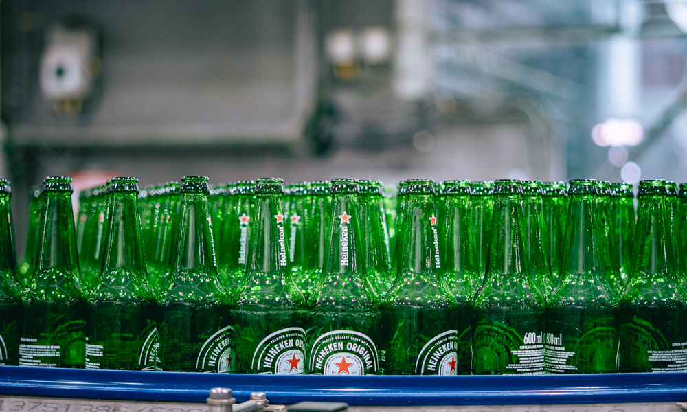 O que dá amargor à cerveja? Entenda o papel do lúpulo no sabor da bebida